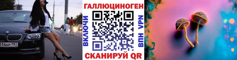Галлюциногенные грибы Psilocybine cubensis  Купить закладки  Лахденпохья 